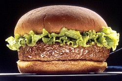 werbung_hamburger