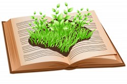 book plant