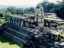 palenque tempel